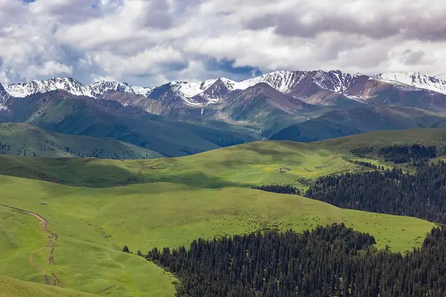 Assy Plateau: green hills and spruce forest of the Assy plateau under snowy ridges, spring