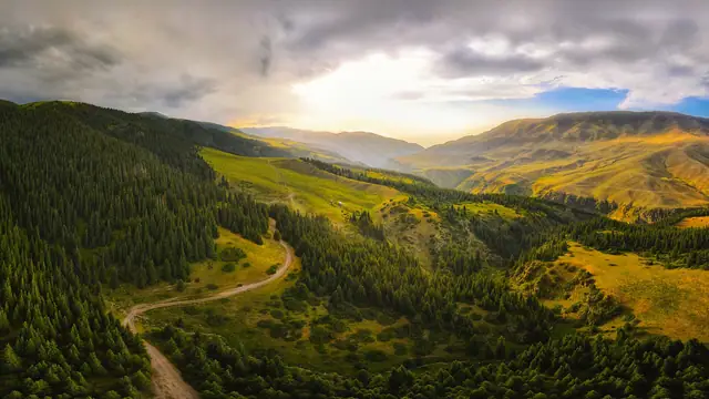 Assy Plateau: aerial view of the Assy plateau with the road winding through spruce forest at golden hour