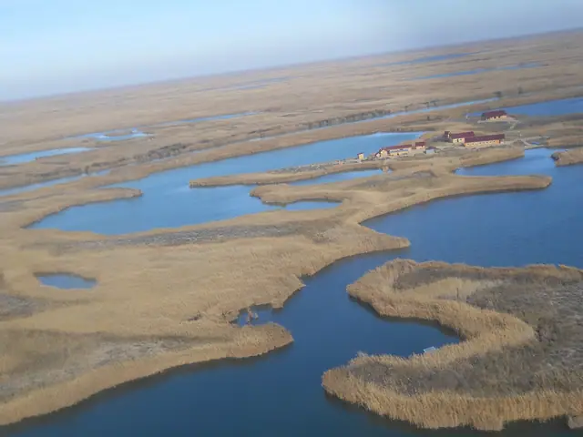 Іле-Балқаш: жоғарыдан көрінген Іле атырауының көлдері мен қамыс аралдары