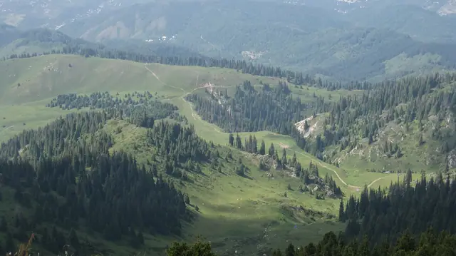 Көкжайлау: күмбел шыңынан көрінген төбелер мен шыршалықтар