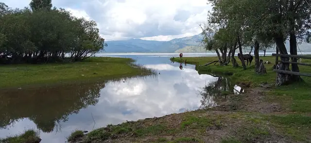 Марқакөл: үрінқайы өзенінің сағасы мен кәрі талдар